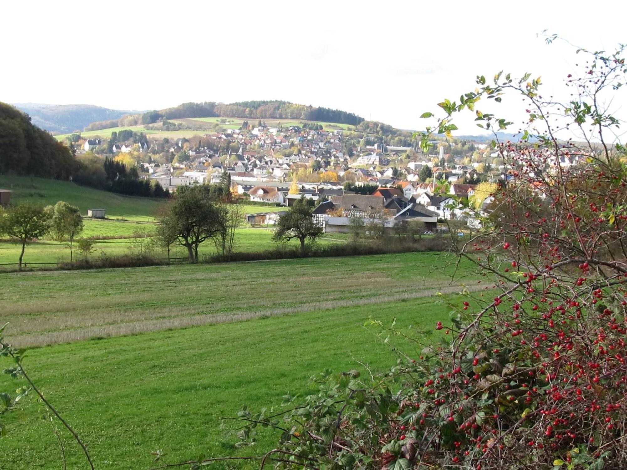 Zum Treppche Hotel Garni Gladenbach Eksteriør bilde